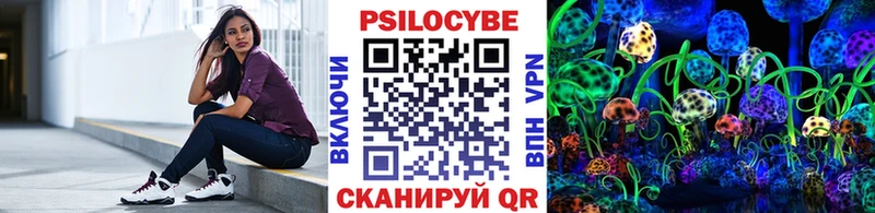 Купить  Кимовск  Псилоцибиновые грибы MAGIC MUSHROOMS 